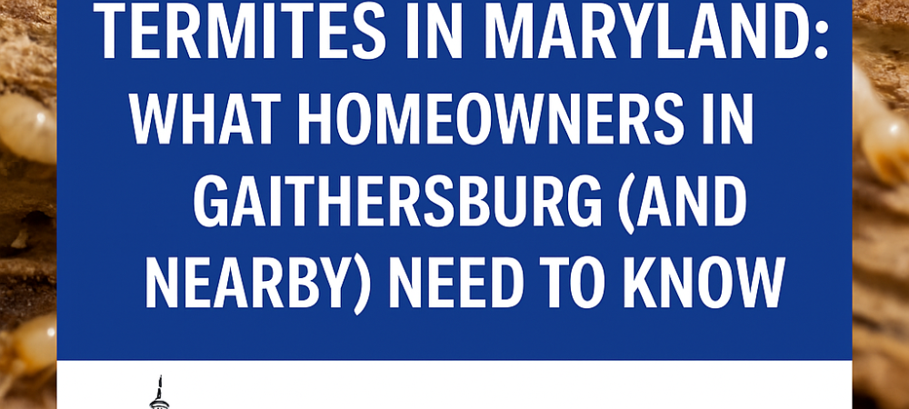 Termites in Maryland, What homeowners in Gaithersburg and nearby need to know