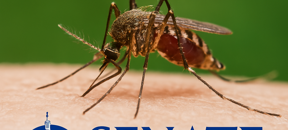mosquito-control-germantown-md-backyard-treatment