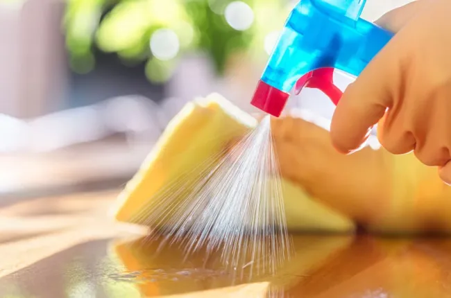 Spray bottle being used to clean to prevent spiders